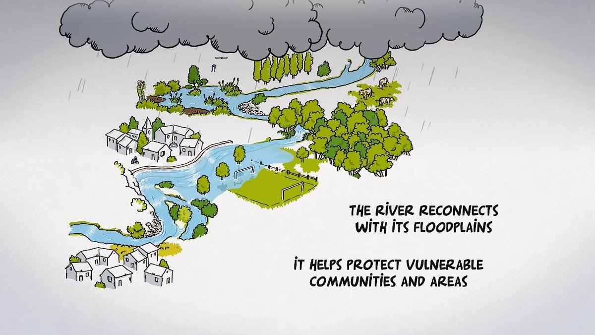 Oly Lowe tweet media