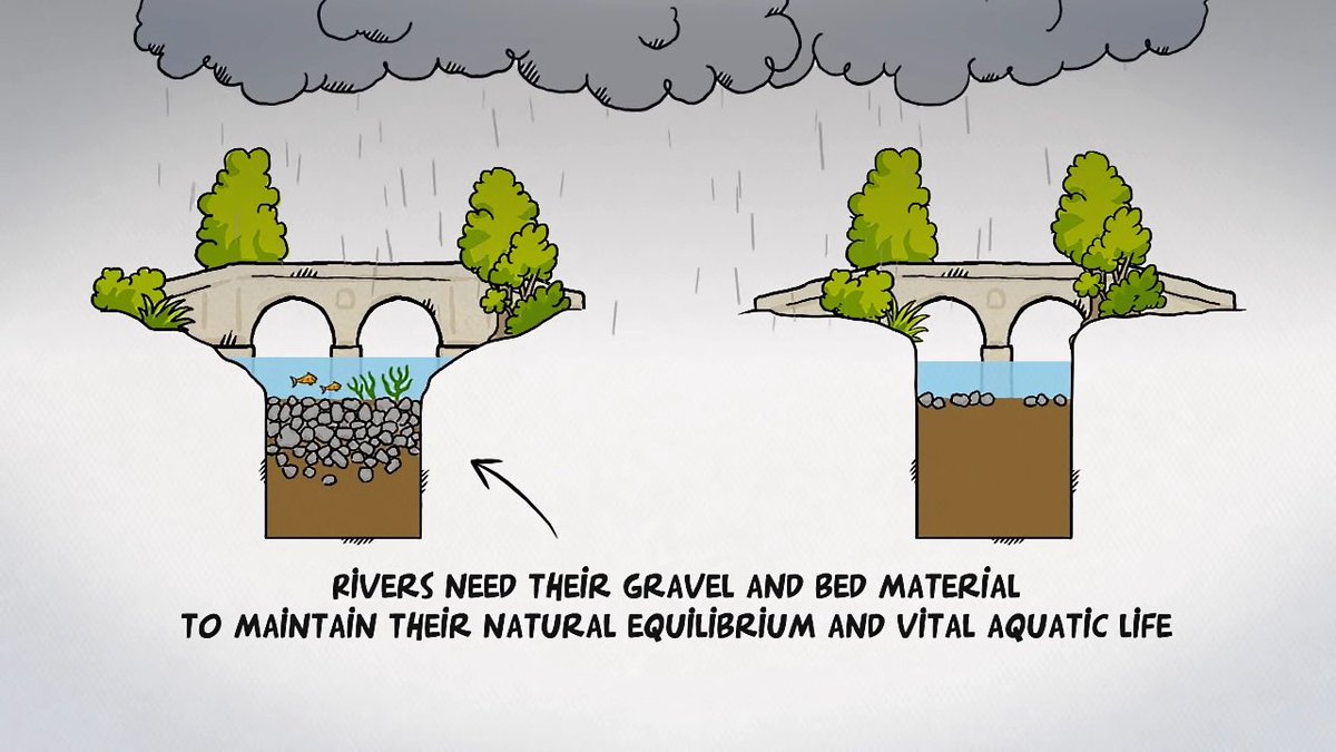 Oly Lowe tweet media