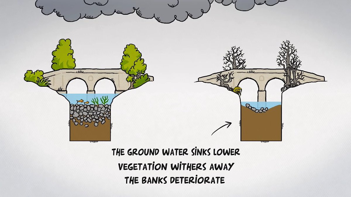 Oly Lowe tweet media