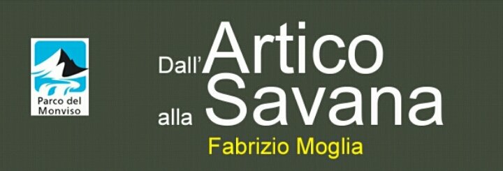 NATURECOLORS1's tweet photo. https://t.co/8WNTojpwZA
Fabrizio Moglia Pian del Re @ParcoMonviso Mostra fotografica naturalistica dal 23 luglio 
https://t.co/EVc84whD85 https://t.co/Prafgte0vt