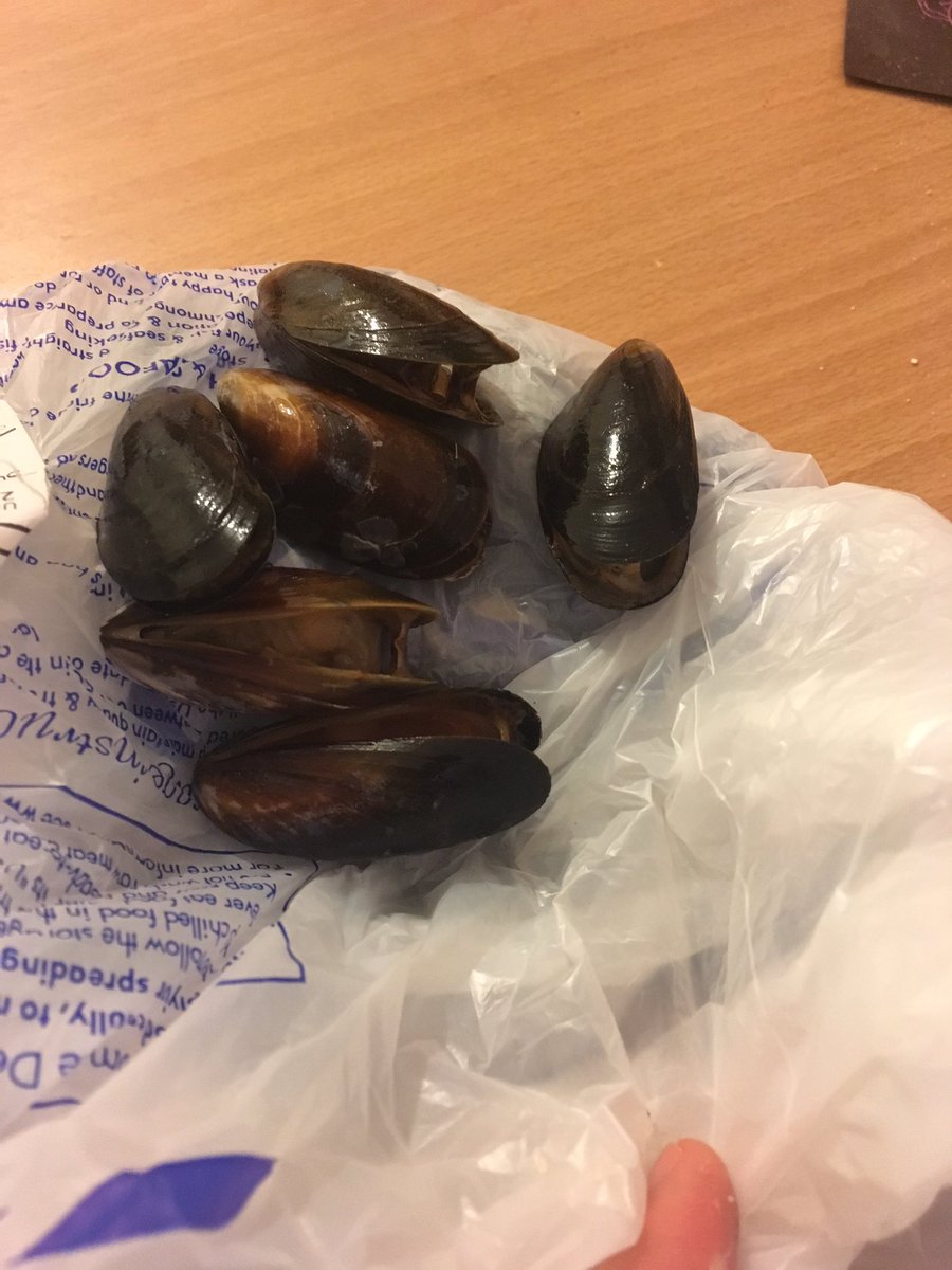 FDodwell92's tweet photo. Got these muscles from the fresh fish counter @Tesco nearly all open. Ruined my dinner and definitely almost ruined my week #foodpoisining https://t.co/qRLjAMRbkK
