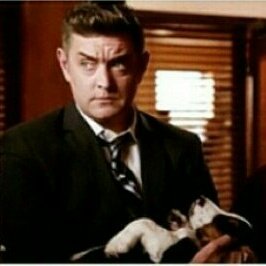 KumariShanaya's tweet image. I appreciate Lassiter,
#SternumbushRockstar #DeterminedAwesomeBadassDetectiveChief #SoftInside

#WeLoveYouOmunson💗