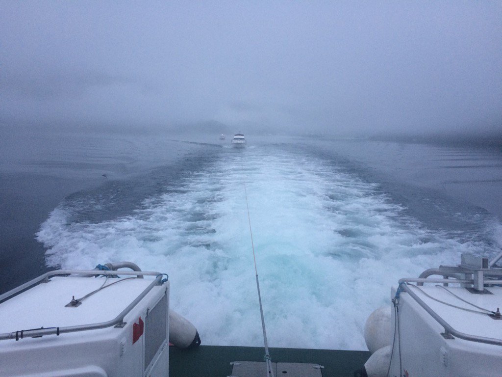 NSSR's tweet photo. #Ålesund #DNVII Tur til Øye i Hjørundfjorden for å slepe Totalmedlem til Ålesund. https://t.co/kmI5rh063i