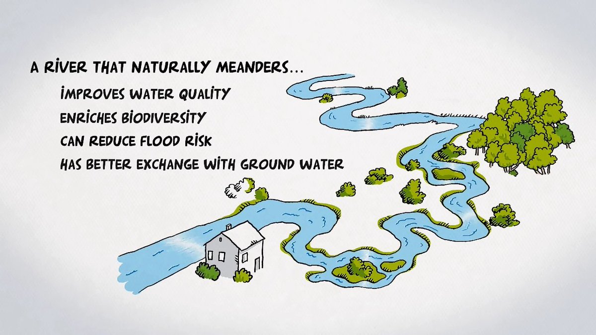 Oly Lowe tweet media