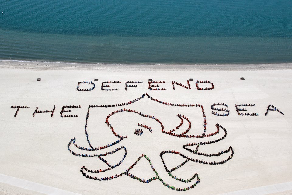 KatePow3ll's tweet photo. students from hong kong, san francisco and san diego raising awareness about the state of ocean wildlife and our duty to protect it. https://t.co/KqvdlQxyxL
