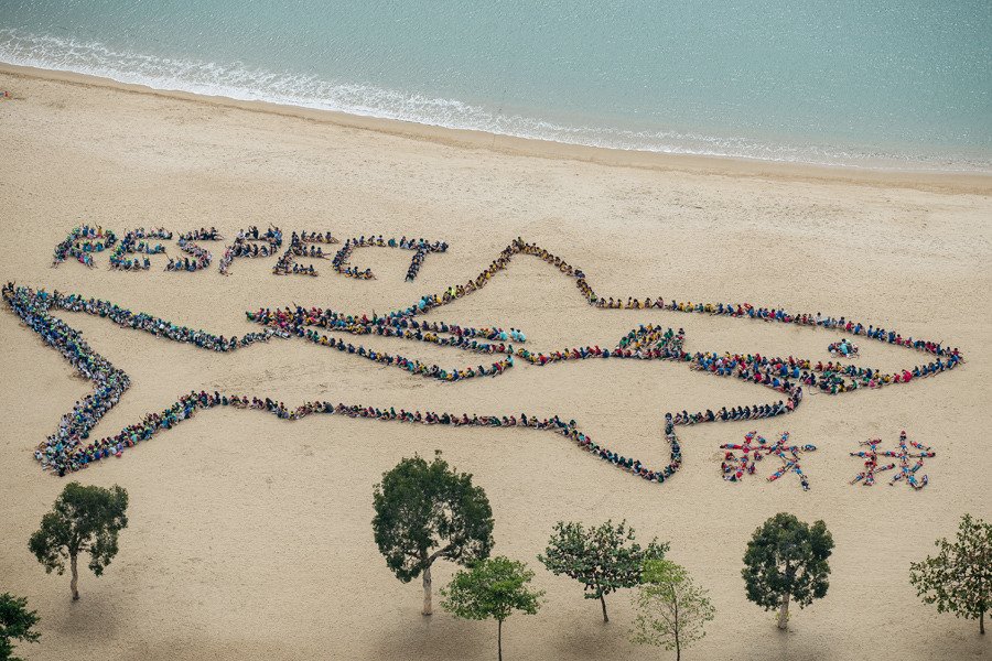 KatePow3ll's tweet photo. students from hong kong, san francisco and san diego raising awareness about the state of ocean wildlife and our duty to protect it. https://t.co/KqvdlQxyxL
