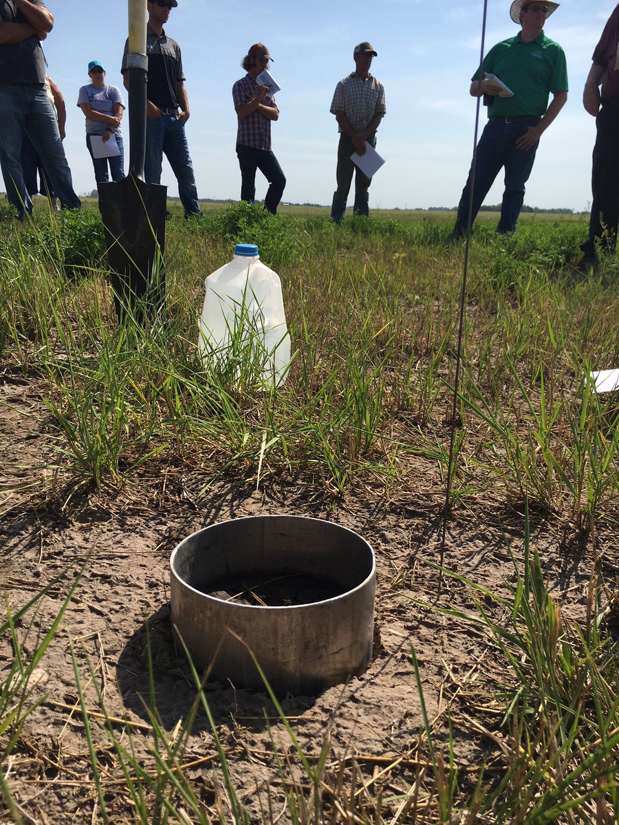 NRCS_SD's tweet photo. Great progress healing #SickSoil 15-yr demo Beadle Co Cons. District #saline #sodic #croprotation #covercrops learn w @NRCS_SD @SDSUiGrow https://t.co/ULxOvdN1Z3