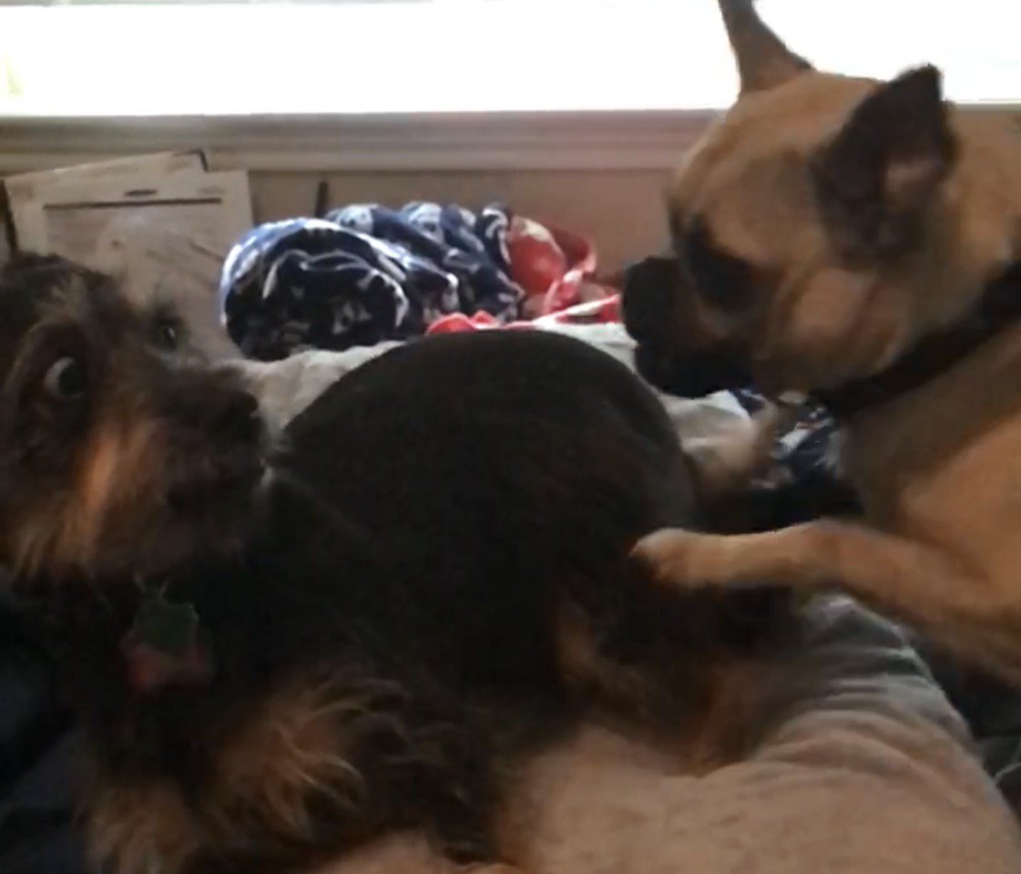 Memeguard's tweet photo. When your GF says let's watch Netflix and you didn't hear the "and chill" https://t.co/9KbZHQX5Nj