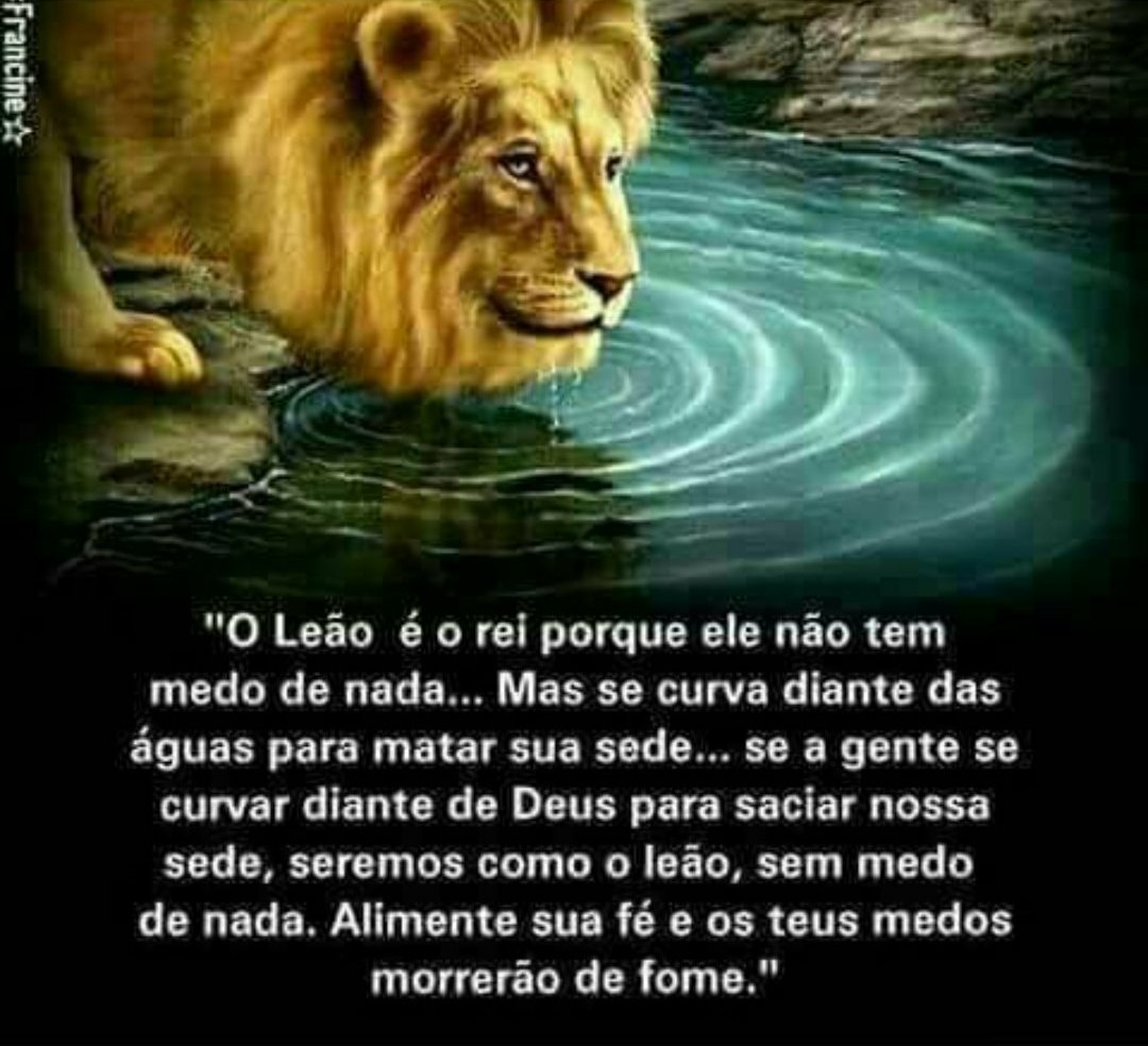 Luizão #betaquerlab (@luizdapaz1) on Twitter photo 