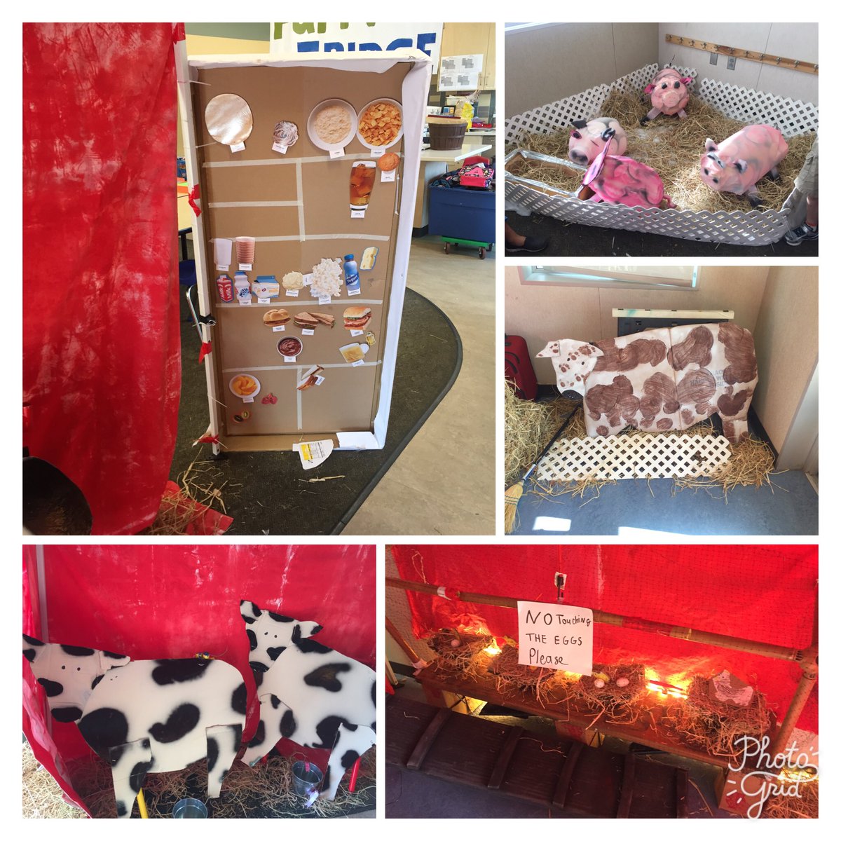 anniesmurphy's tweet photo. CampbellCare Summer Camp. Farm to Fridge week. #cusdextensions @campbellusd https://t.co/GPF97hzIPs