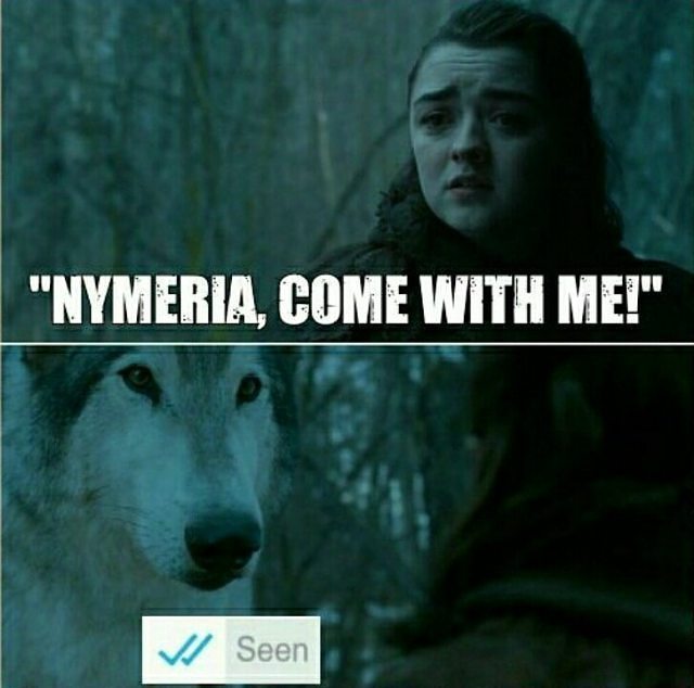 ThronesUpdates's tweet photo. Nymeria is a savage 😂 #GameOfThrones https://t.co/8JG82O1Vtc