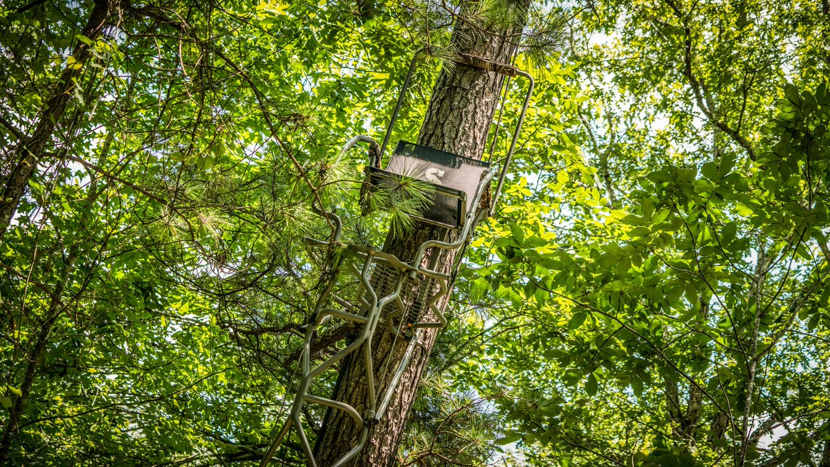 MnagemtAdvntge's tweet photo. Just because you have a plot, doesn't mean you have to hunt directly on it! This @SummitTreestand is on a bench downwind. #TreeStandTuesday https://t.co/yCCQlA2GeD