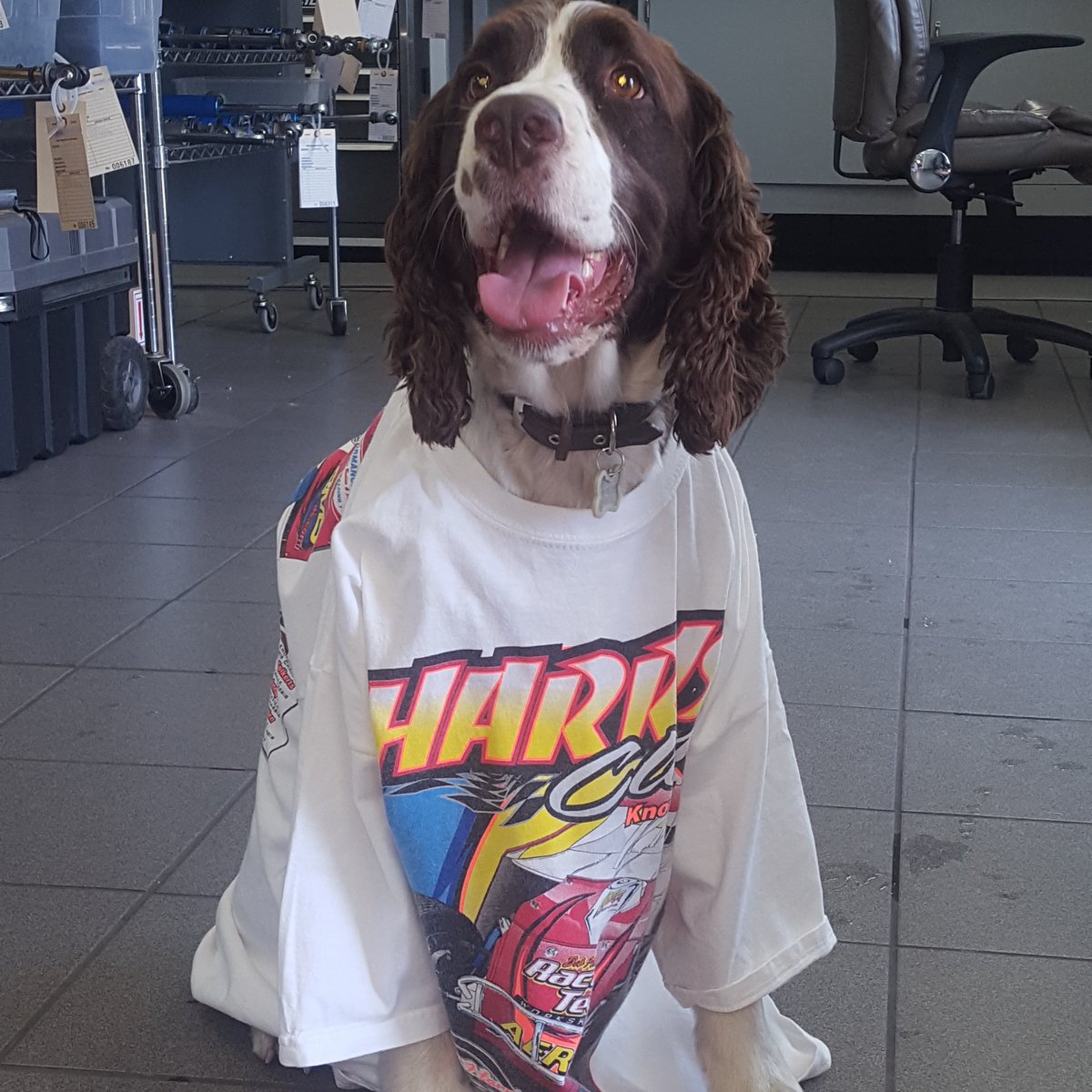 BobHarrisEnt's tweet photo. Wanna win a free Harris Clash T-Shirt? Check out our FB page @HarrisClash to see how!! #HarrisClash https://t.co/FWb6oiGttA