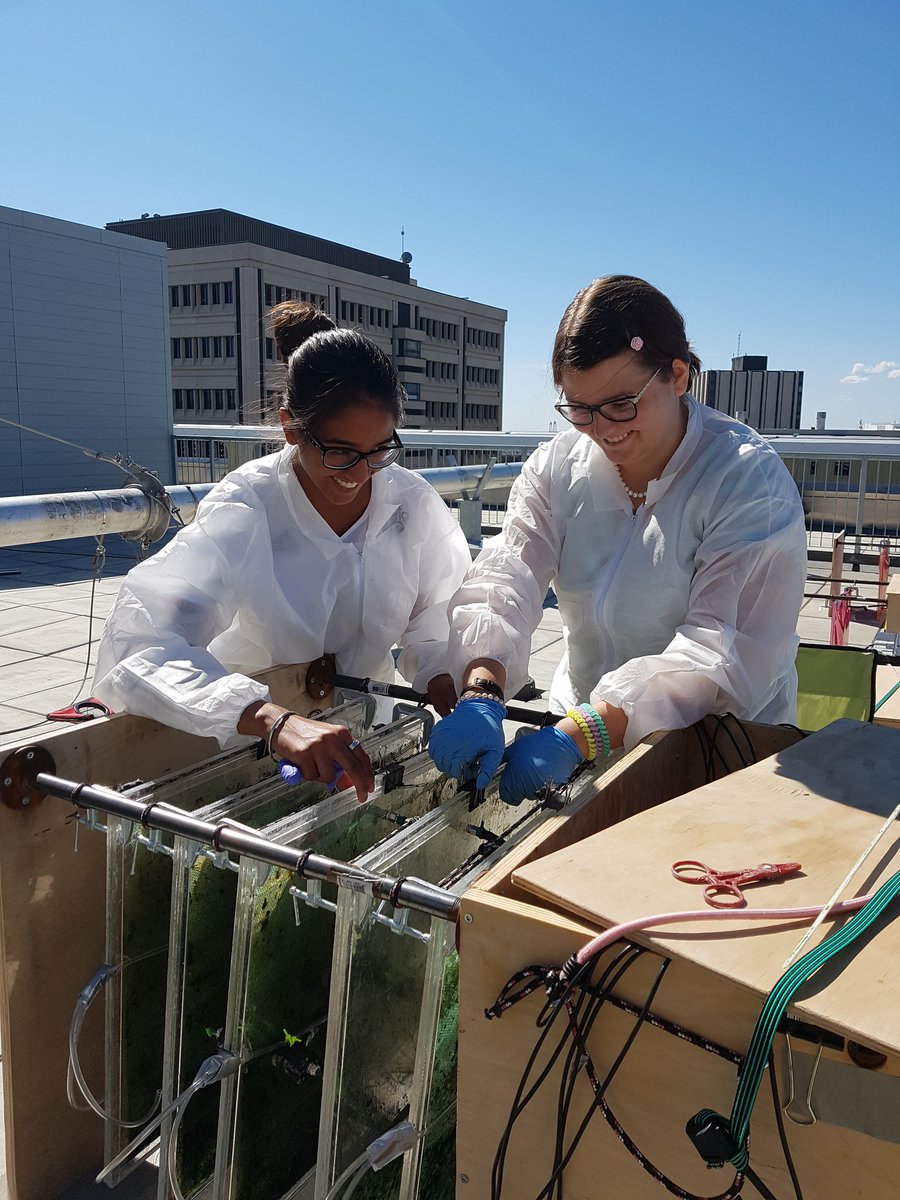 jkzorz's tweet photo. Testing out our new official harvesting uniforms on the roof. No more algae covered clothing @SolarBiocells #science #algaebiofuels 👕🌱 https://t.co/RJ9HQpY78w