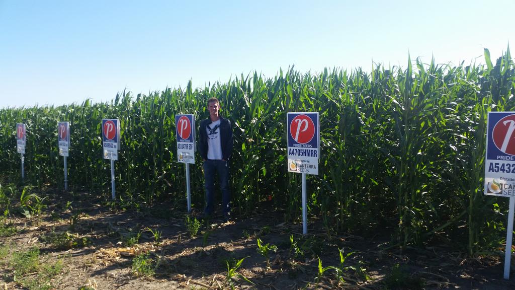 Page__Newton's tweet photo. @canterraseeds @PRIDESEEDS #silage17 plots look amazing @ Creekside Custom Harvest @CoaldaleAB Thx Gideon & Brian Stoutjesdyk ๐ #corn https://t.co/KIeaieL6WA