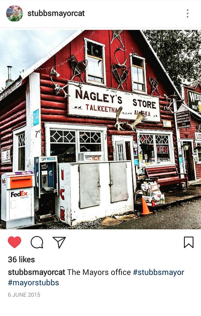 JelenaMKandic's tweet photo. #TravelTuesday ↔ #Talkeetna #Alaska 

#RIPStubs #MayorCat #StubbsTheCat went #OTRB 💖🌈💖 last night.

#AmbassaCats &amp; #CatsofTwitterbsalute.🐾🙏🐾 https://t.co/iXXqA7Upky