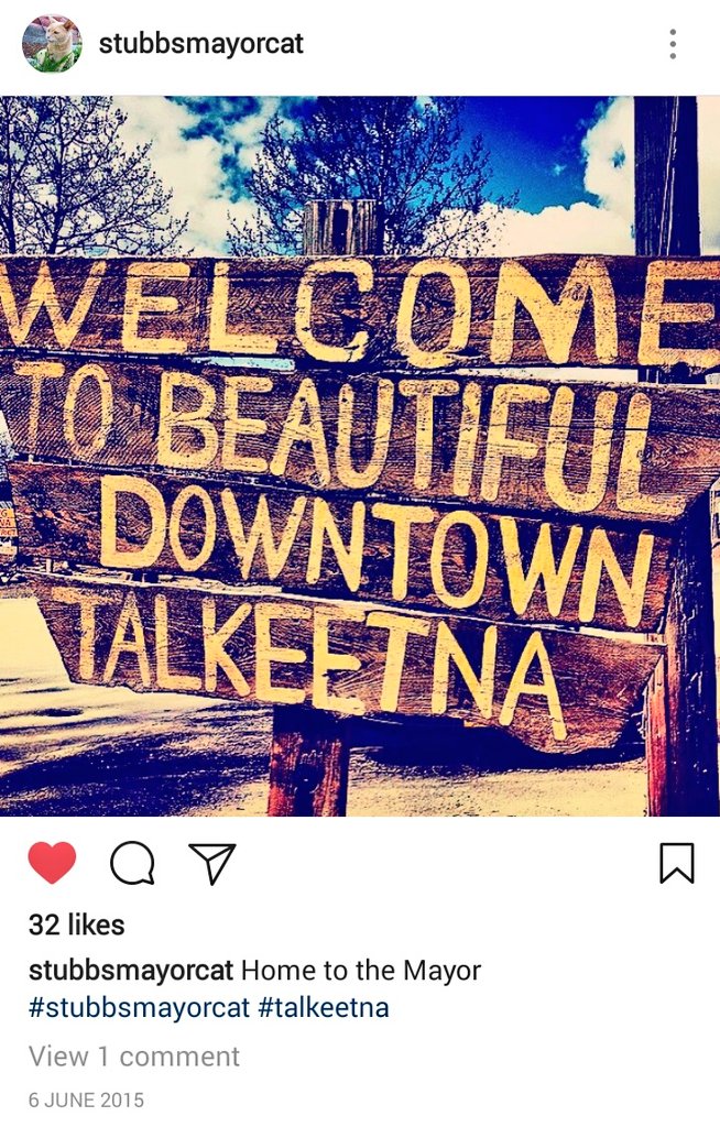 JelenaMKandic's tweet photo. #TravelTuesday ↔ #Talkeetna #Alaska 

#RIPStubs #MayorCat #StubbsTheCat went #OTRB 💖🌈💖 last night.

#AmbassaCats &amp; #CatsofTwitterbsalute.🐾🙏🐾 https://t.co/iXXqA7Upky