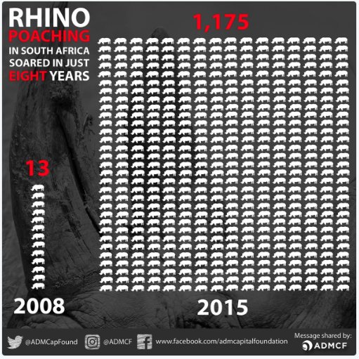 rwfsaia's tweet photo. The illegal trade in rhino horn has seen a rise significantly in recent years #rhinostats #conservation https://t.co/7ldO6WShsq https://t.co/YgSdXWoX4Q