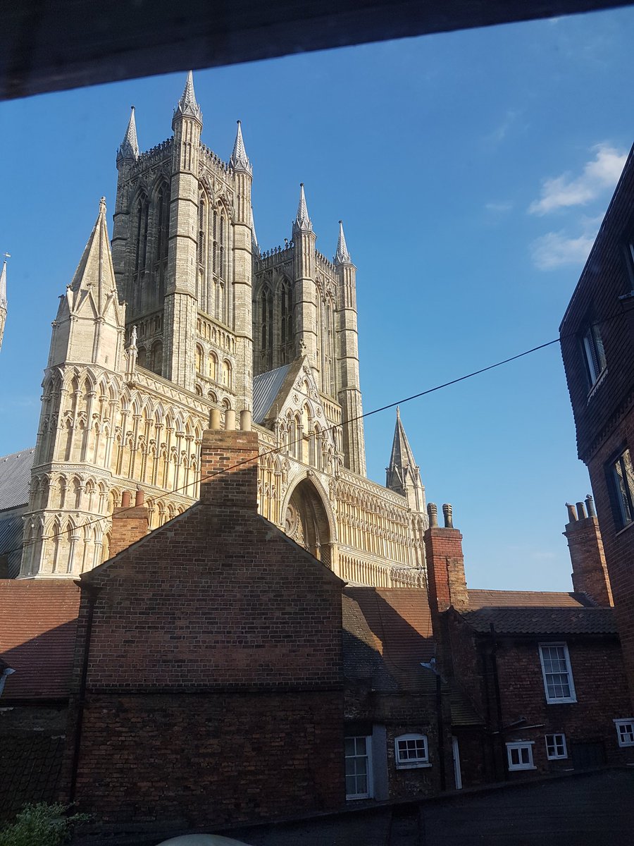 diane lees tweet media