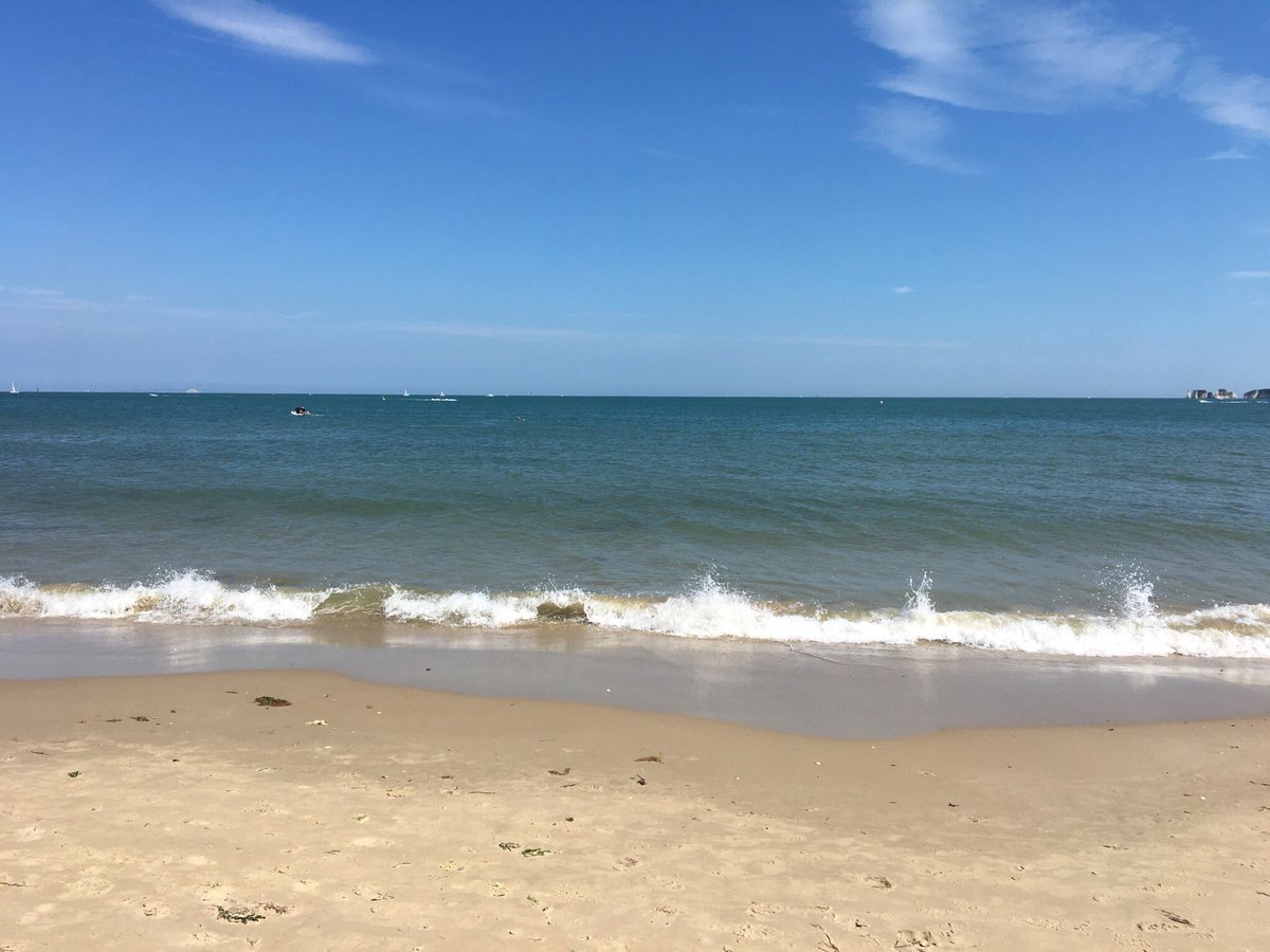 MSFX's tweet photo. #RemoteWorkFTW👌🏻 https://t.co/N5ZCyXgIle