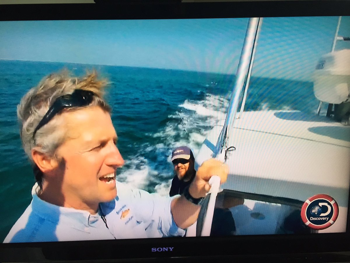 MA_Sharks's tweet photo. May have to start a new #SharkWeek game. How many times can you spot @MassDMF logo? #SharkVortex #AlienSharks #JawsComesHome. BOLO 👀for more https://t.co/sYKc1oamEF