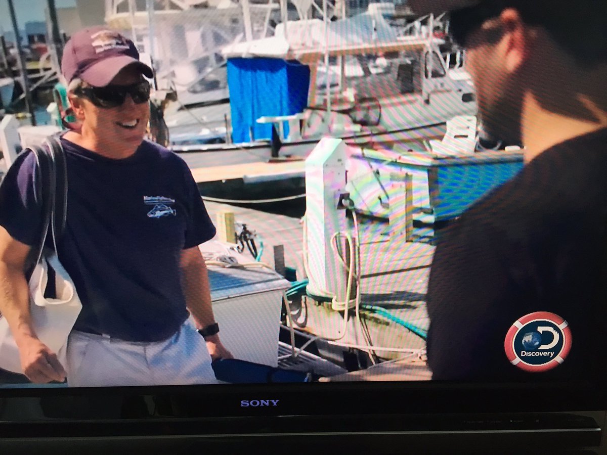 MA_Sharks's tweet photo. May have to start a new #SharkWeek game. How many times can you spot @MassDMF logo? #SharkVortex #AlienSharks #JawsComesHome. BOLO 👀for more https://t.co/sYKc1oamEF
