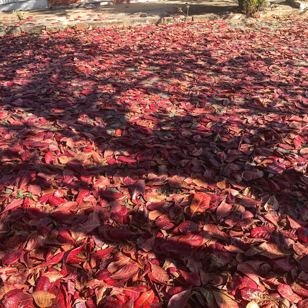 Así amaneció nuestra calle