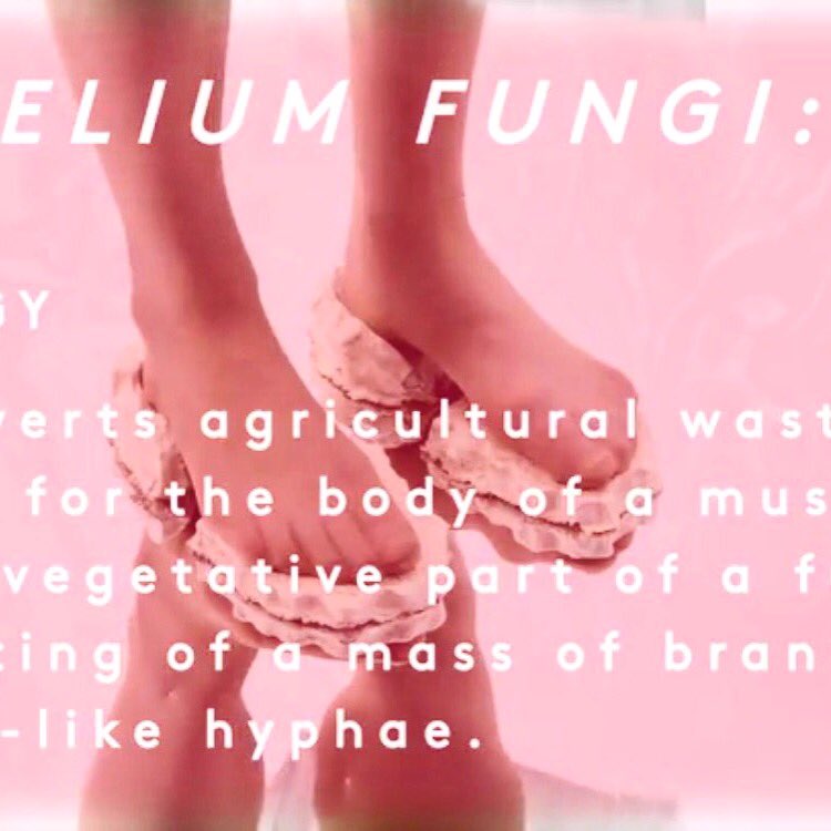 Want to grow fungi &amp; design with mycelium?
Sign-up for my Fungi Fabrication class <a href="/genspacenyc/">Genspace</a> - 7/30, 8/6, &amp; 8/13
eventbrite.com/e/fungi-fabric…