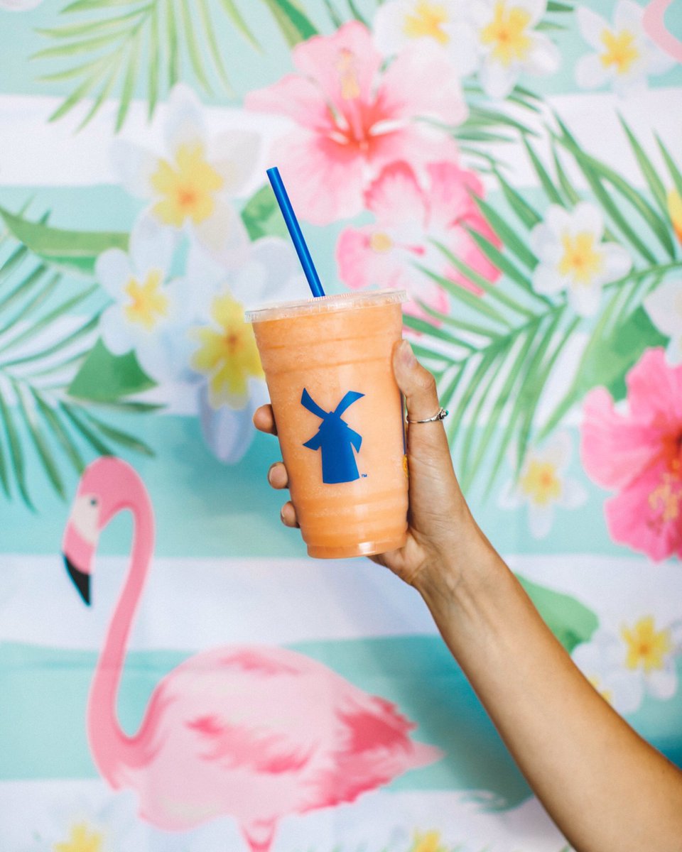 SchollsDB's tweet photo. Have you tried a PINK FLAMINGO REBEL!? https://t.co/VNWuiLmWLH