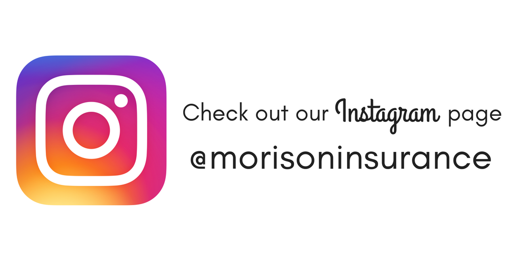 Follow us on <a href="/instagram/">Instagram</a> to stay connected with @morisoninsurance 💚