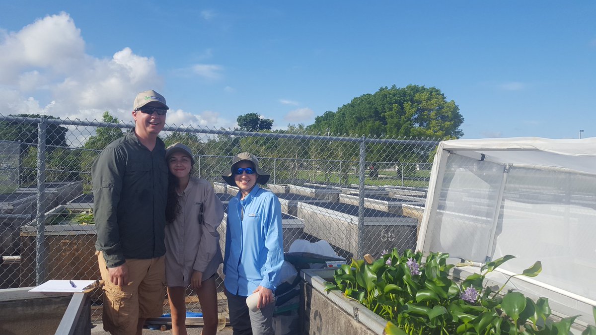 c_minteer's tweet photo. It is bring your husband and kid to work day. Investigating potential indirect effects of biocontrol w/ the USDA. #minteerlab #iprl #ufbugs https://t.co/9bZ7Gf03vd