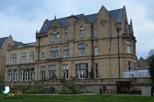 StickyBeakBlog's tweet photo. Dinner At The Orangery Restaurant, Darley Dale @OrangeryDining | Review On The Sticky Beak Blog https://t.co/MQjltcxeZV https://t.co/knvqi8Z9sH