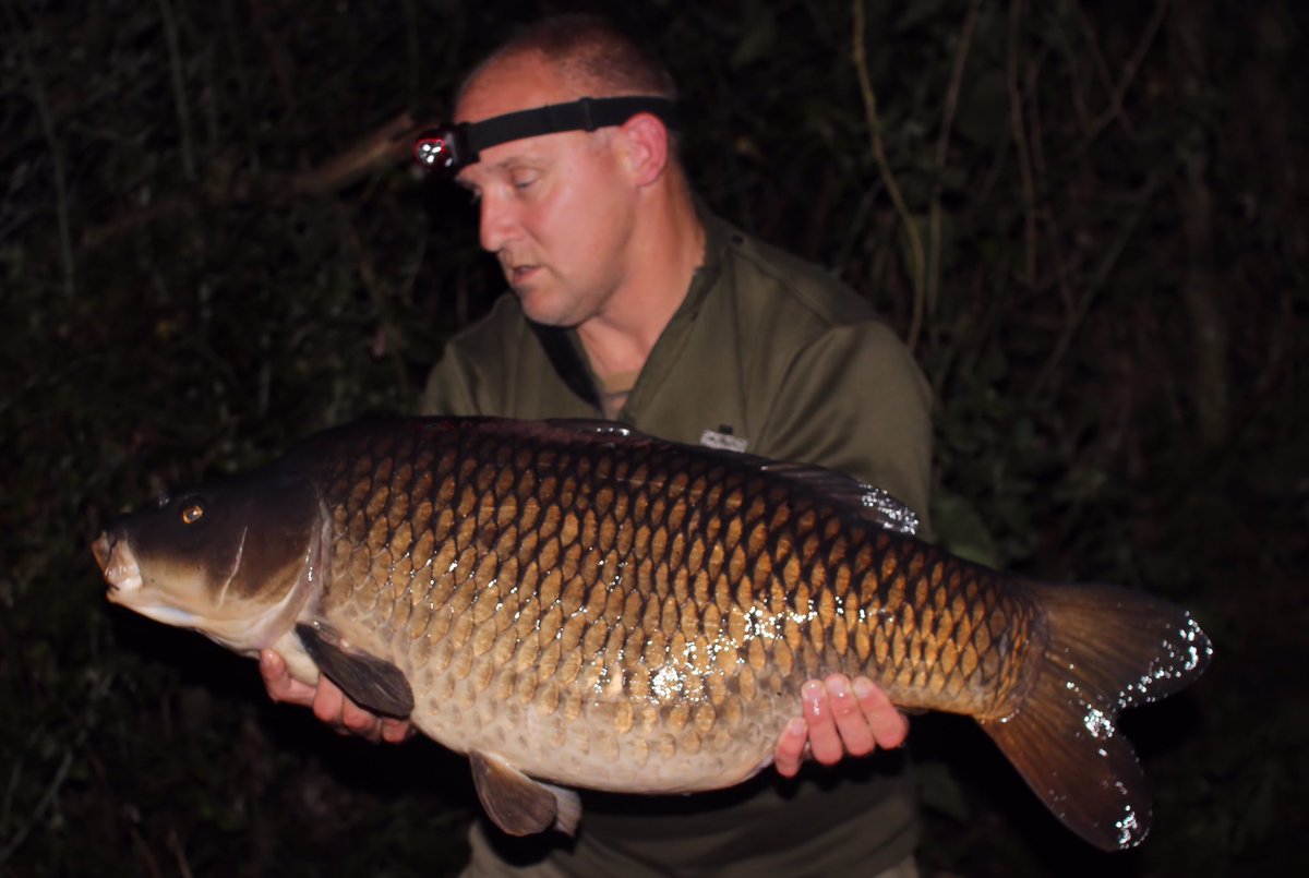 RobAndrews67's tweet photo. Fluked out 11 fish in a 48hr session including mirrors to 28 and 3 30lb commons. Happy days!! https://t.co/g6M2akvPmh