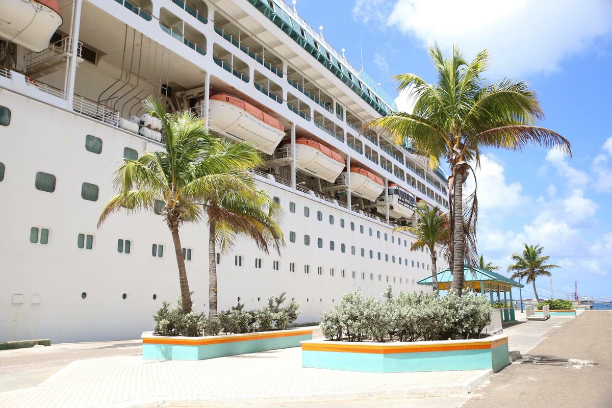 Teddy (@teddybaruch) on Twitter photo Teddy took an all-expenses paid cruise to the Bahamas with <a href="/martinrhsu/">Martin Hsu</a> - you can be sure they'll be back. #teddytravels #baruchlife Teddy took an all-expenses paid cruise to the Bahamas with <a href="/martinrhsu/">Martin Hsu</a> - you can be sure they'll be back. #teddytravels #baruchlife