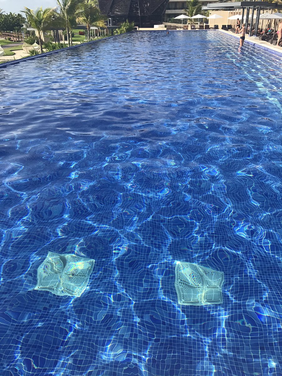 Teacher_LMc77's tweet photo. When you make a promise you'll do 25 lengths each day ..... then you visit a new pool #4sofar ๐ https://t.co/znVGpD3T23