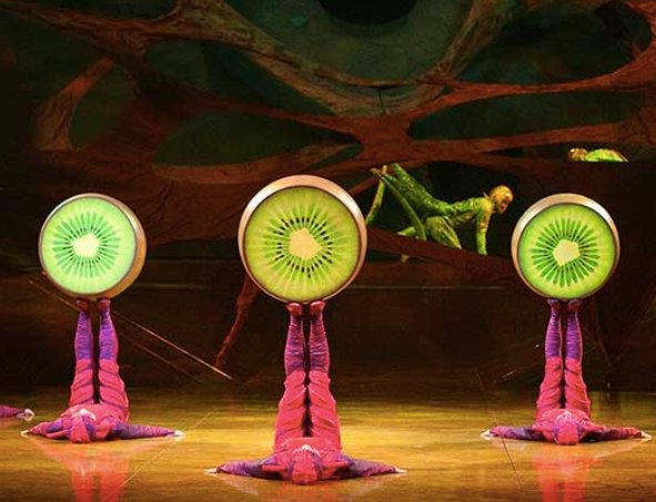 SoBe Hostel tweet media