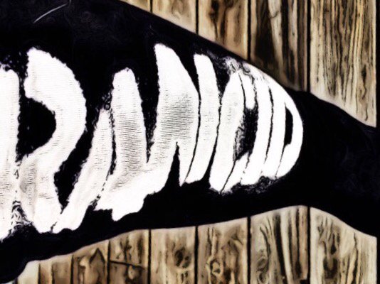 TrinaCAWood's tweet photo. 4 days til @Rancid @EchoBeachVenue punkrock S/O @droogyd @britbritnaynay #seeyainthepit #shesautomatic #troublemaker https://t.co/k13OVLDLcL