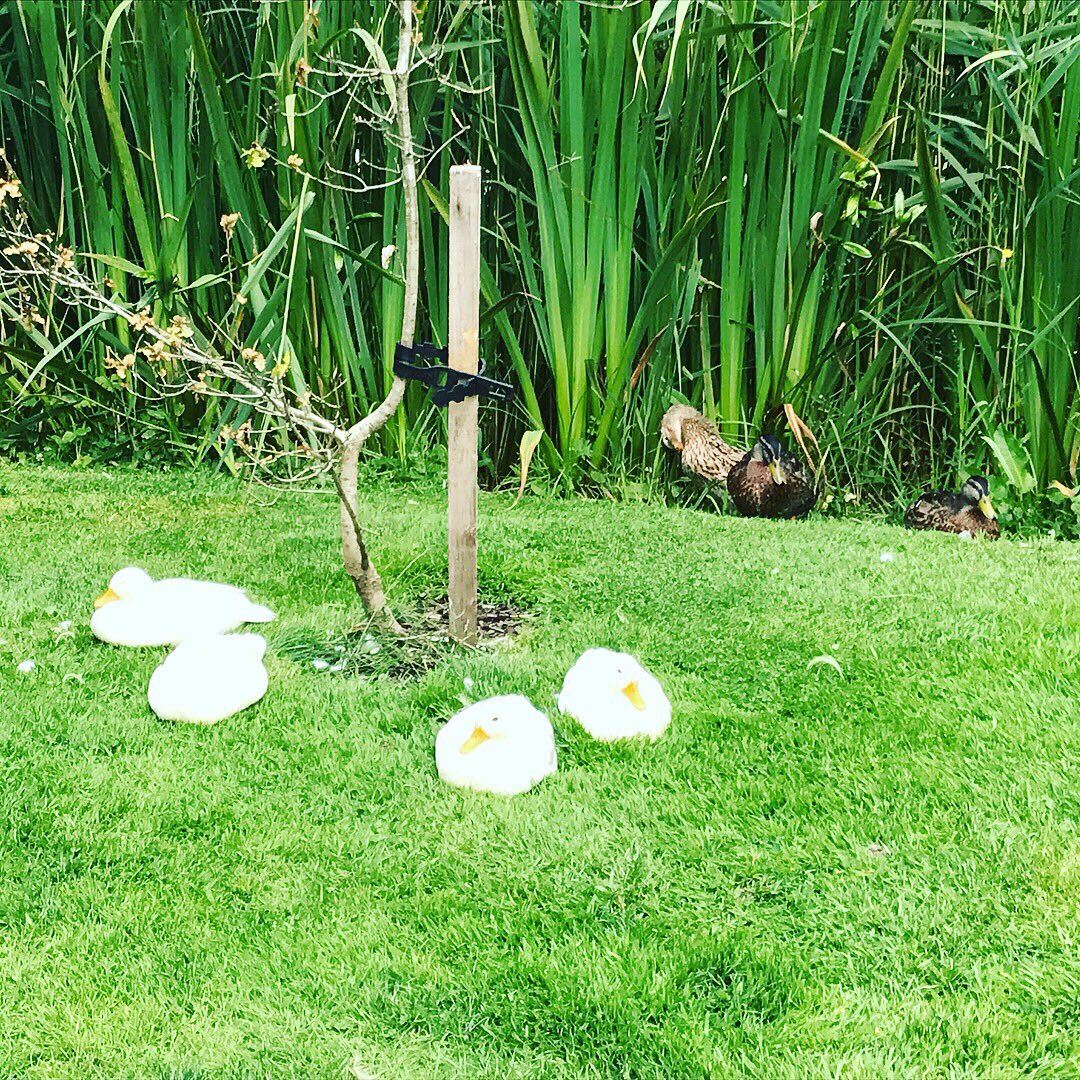 PaulaDunphy's tweet photo. Fabulous spa weekend @monartspa to start my birth week celebrations ππΌππ₯#going30 https://t.co/l4H74RQrYE