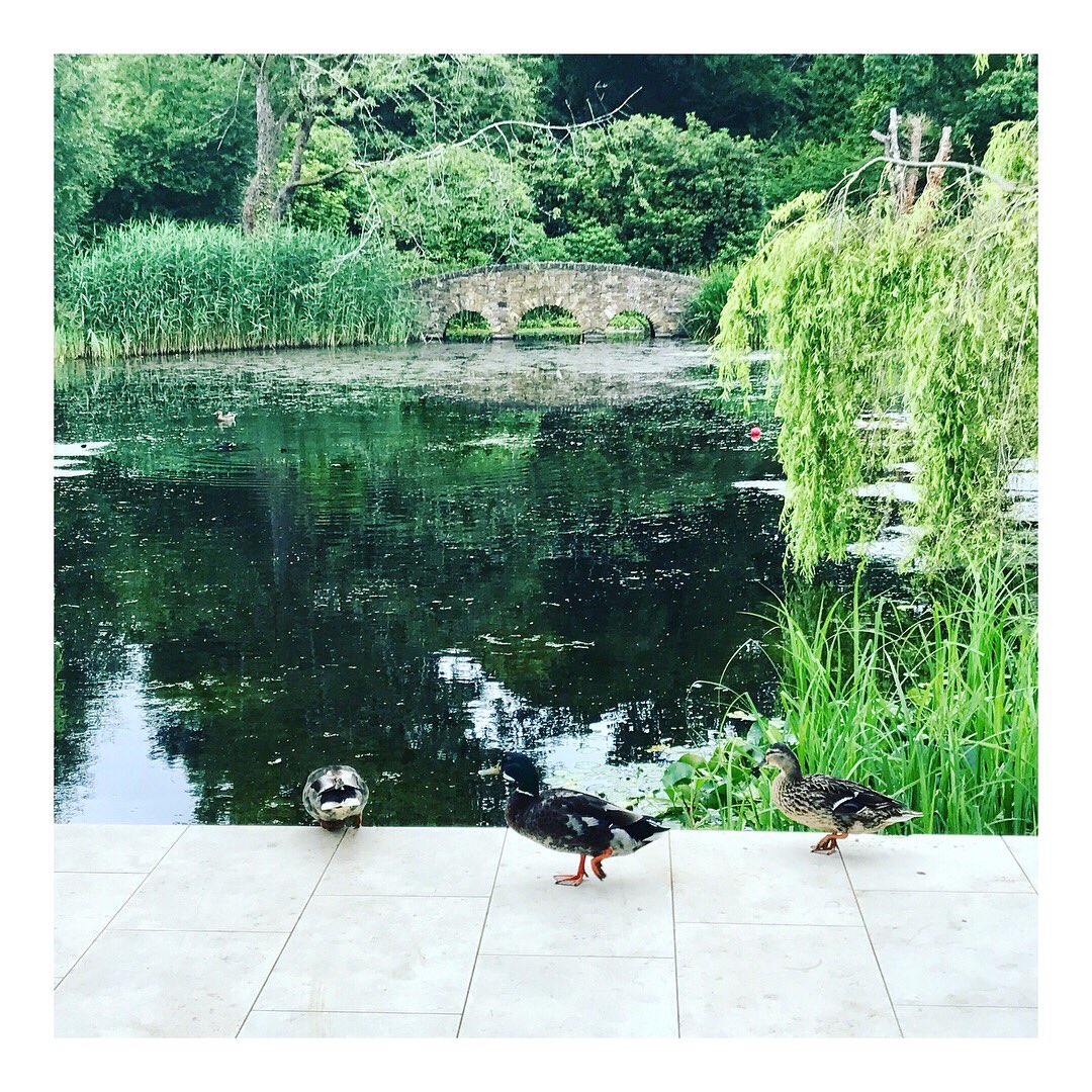 PaulaDunphy's tweet photo. Fabulous spa weekend @monartspa to start my birth week celebrations ππΌππ₯#going30 https://t.co/l4H74RQrYE