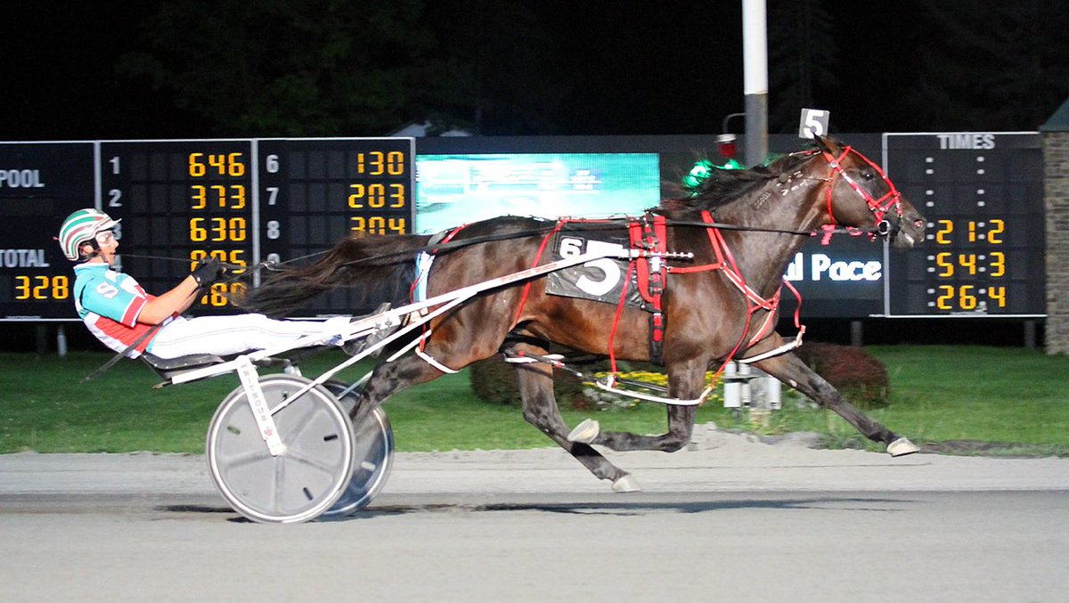 SaratogaCasino's tweet photo. Live Racing returns tonight with a 7:05pm Post!
Plus, check out our recap video from Saturday night's #Gerrity:
https://t.co/4Yd61uV4ir https://t.co/gyMYTIr8O4