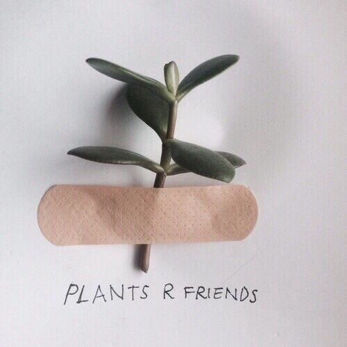 Space__Plants's tweet photo. ❊ New Account
✦ Not New to Rp
❊ Character Belongs to Andrew Hussie
✦ RT?
❊ #HomestuckRp

❝To plant a garden is to believe in tomorrow❞ https://t.co/y5luFZwkGU