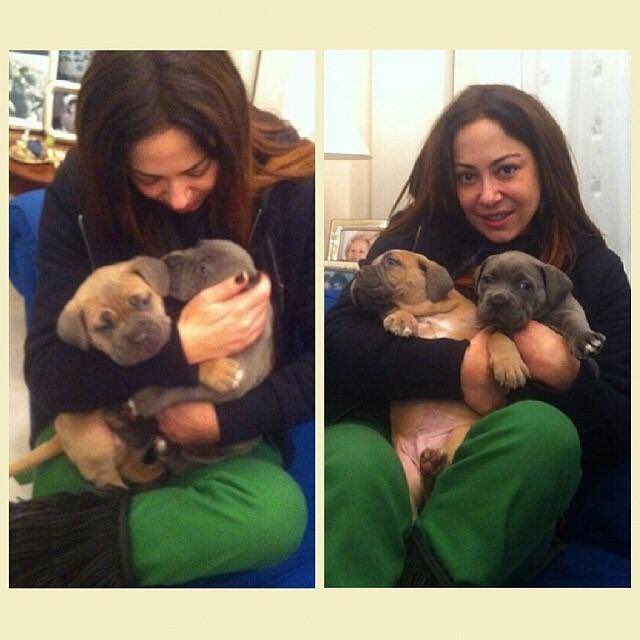 deppysigk's tweet photo. Αυτή η ψυχούλα σου... #melina #aslanidou #dog #aslanator #proud_aslanator https://t.co/vX8y6RbHmb