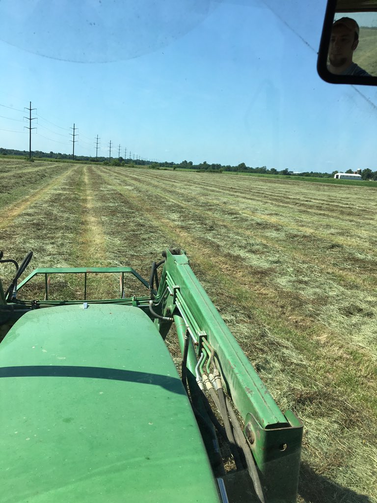 MorganFaubion's tweet photo. @trnrtips Found the best way to hatch eggs/ get buddy distance... rake hay. https://t.co/dWQ7IecOvz