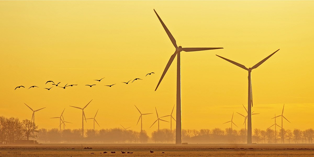 ManhattanInst's tweet photo. Rural America keeps rejecting Big Wind: entire states are now restricting wind projects, writes @pwrhungry. https://t.co/gKbKHbzGW2 https://t.co/Fsgx1YzxRg
