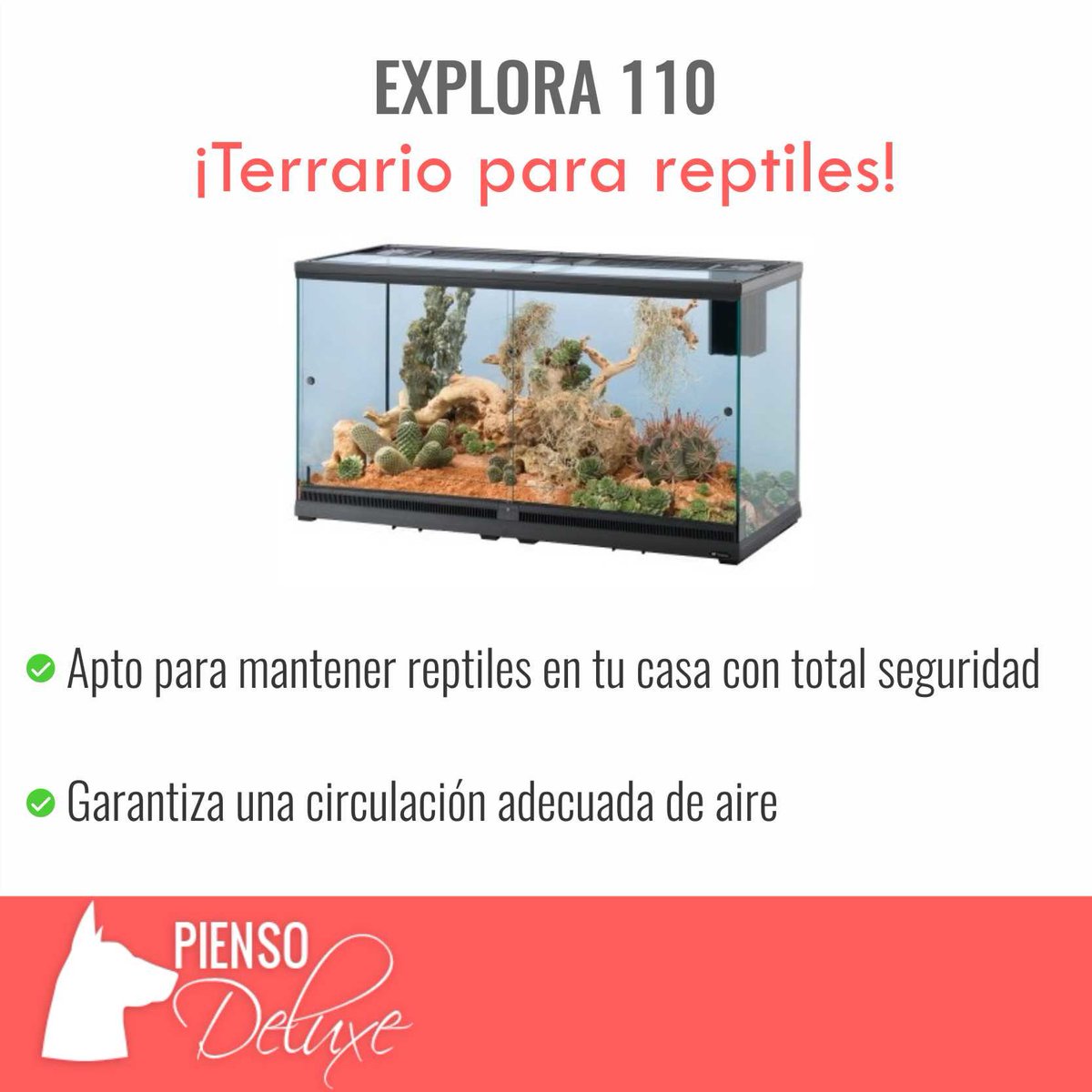 PiensoDeluxe's tweet photo. La forma más segura de tener #reptiles se llama Explora 110 https://t.co/WLkjnphpLQ 🐍🐢 https://t.co/bgwtOHfbQT