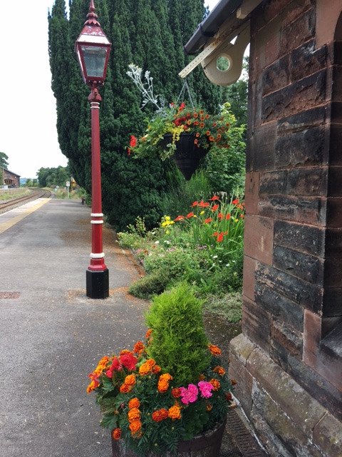 foscl's tweet photo. And the #SettleCarlisle station gardens are blooming, thanks to @foscl volunteers 😀 https://t.co/MCEluR6xsT