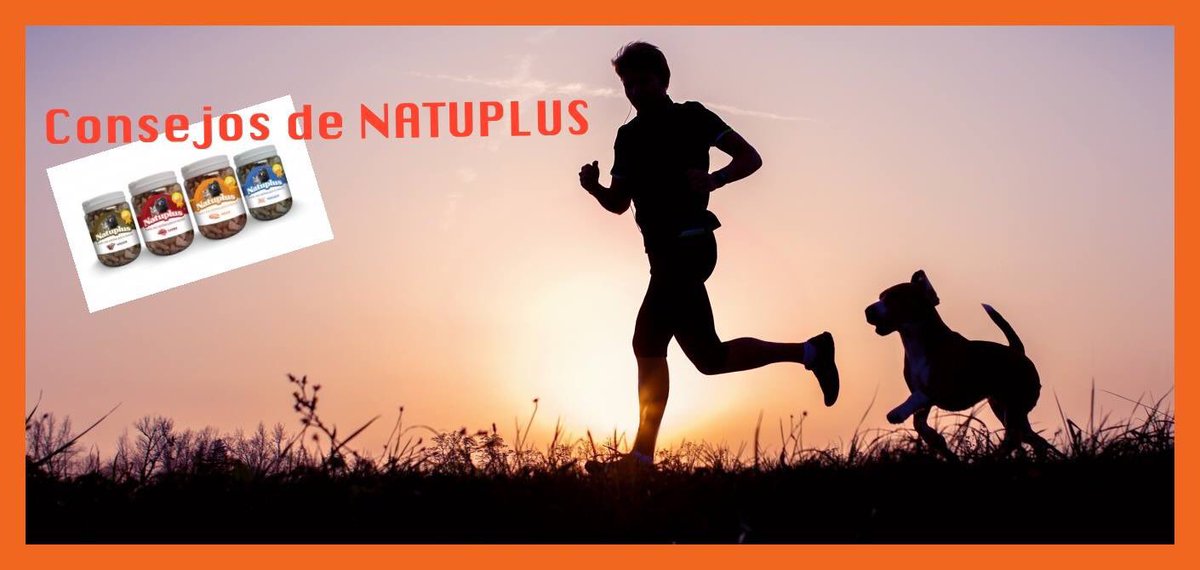 UrbanPetsMag's tweet photo. 🔊 Consejos @Natuplus: Nutrición y salud, un estilo de vida con tus mejores amigos!!!🐶🐱Leelos en ➡️ https://t.co/jDiVt2YuAo https://t.co/shcY4adBEp