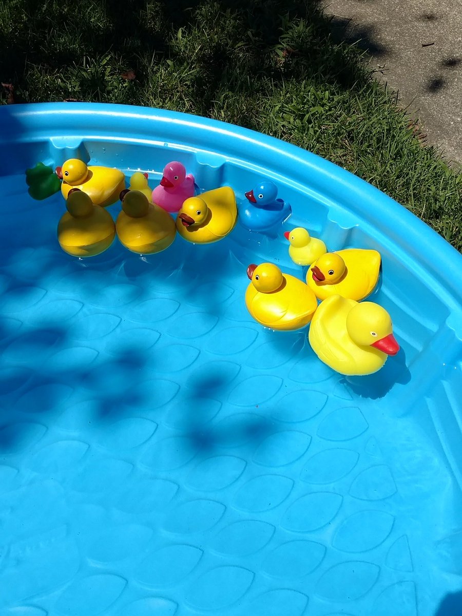 Circus fun at Thornton