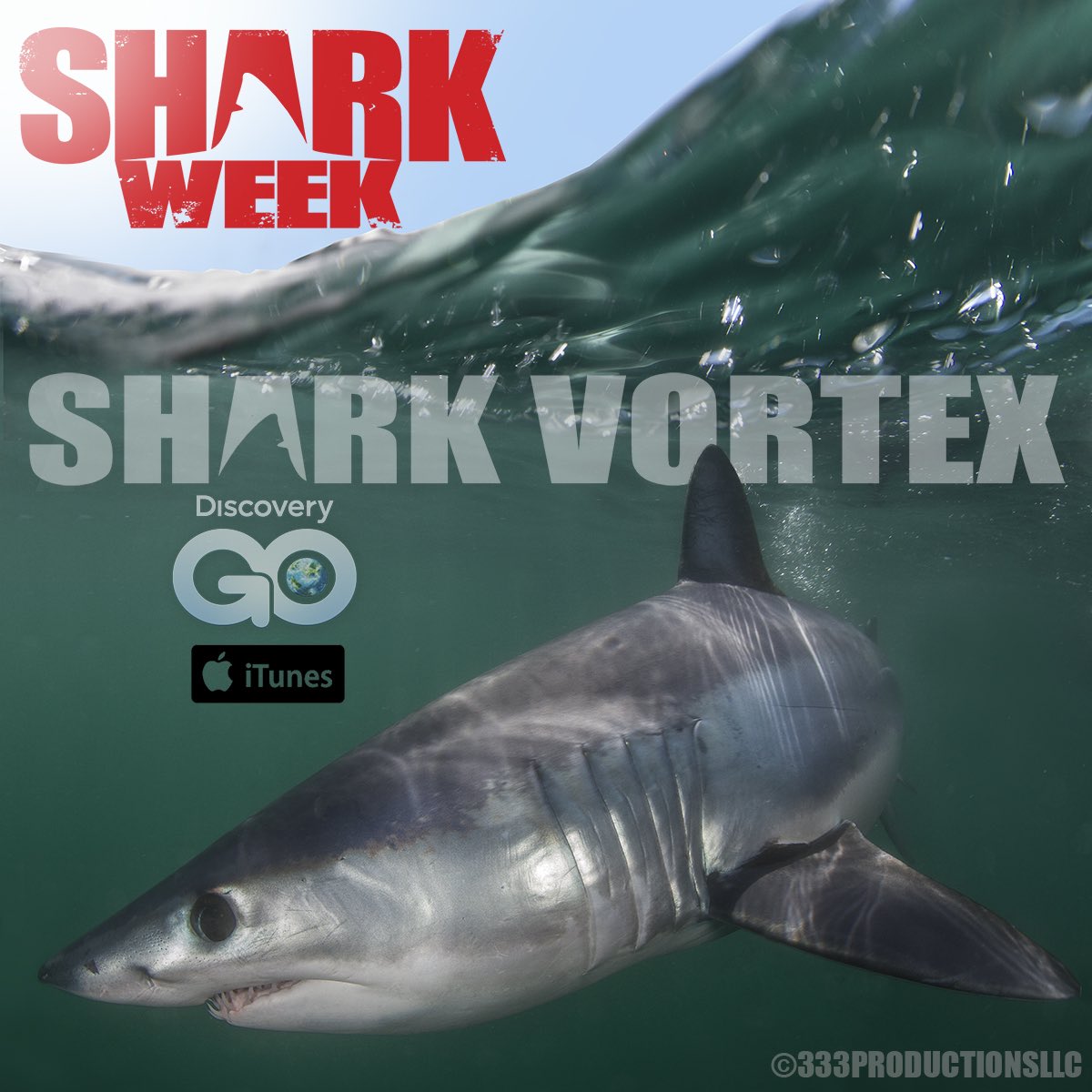 JoeRomeiro's tweet photo. If you missed our show last night , you can still see it on the #discoverygo app or buy it on iTunes. @SharkWeek @Discovery #sharkvortex https://t.co/pNNn1gFqOC