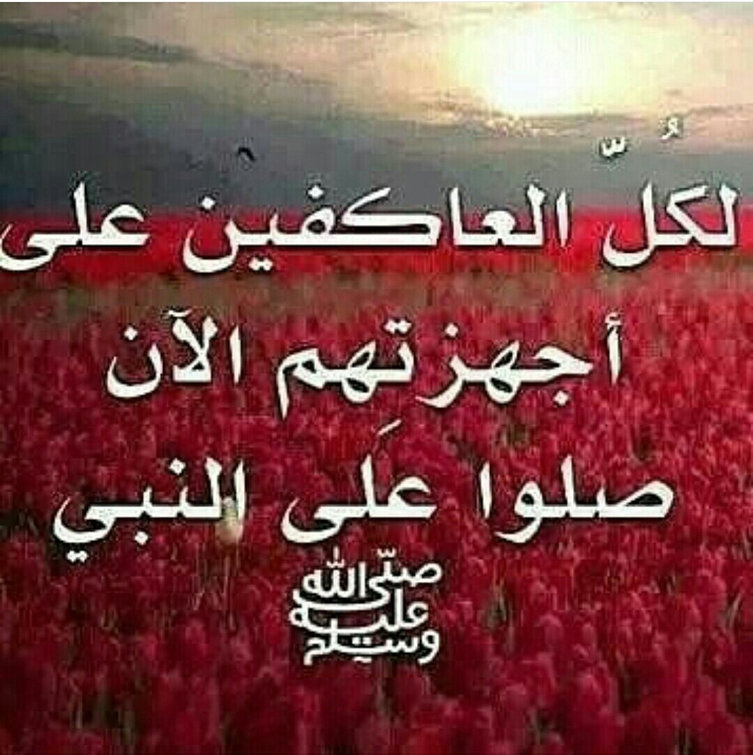 sarasaman8's tweet photo. https://t.co/TwyvWpBlxY